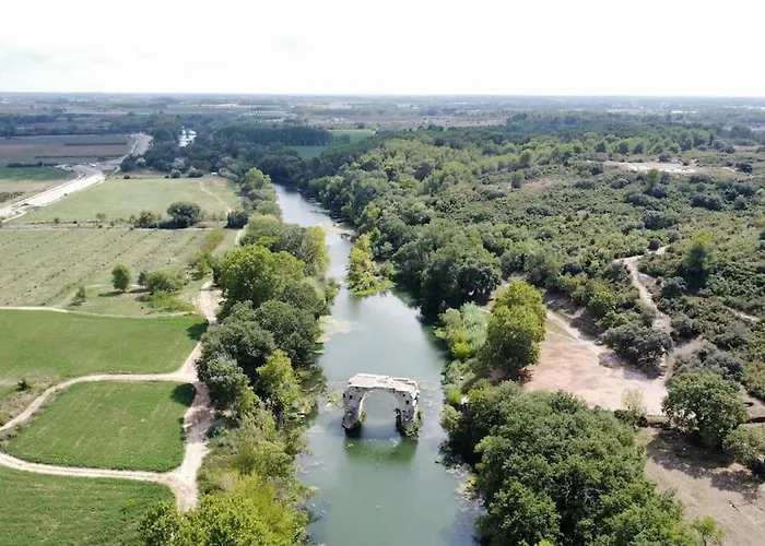 Au Cœur Des Caladons *